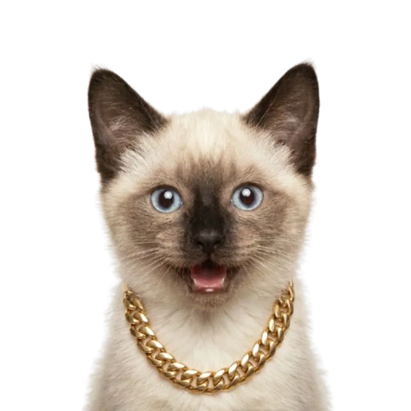genny wearing a thick gold chain