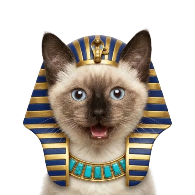 genny wearing a pharaoh headdress